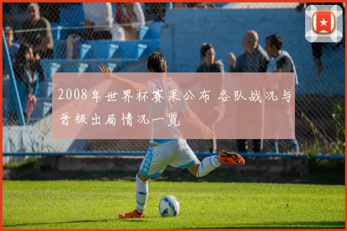 2008年世界杯赛果公布 各队战况与晋级出局情况一览