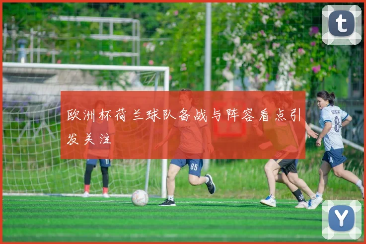 欧洲杯荷兰球队备战与阵容看点引发关注