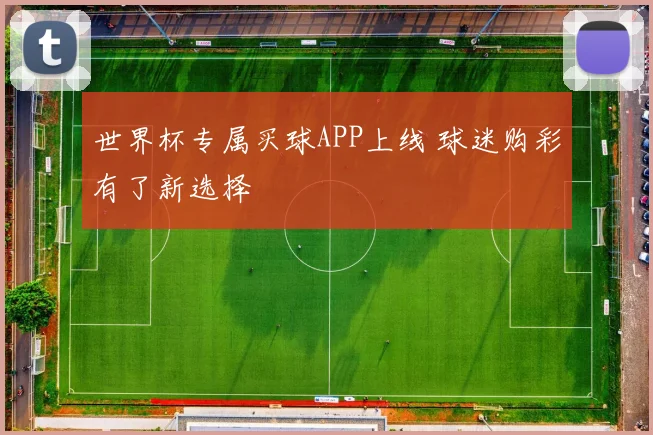 世界杯专属买球APP上线 球迷购彩有了新选择