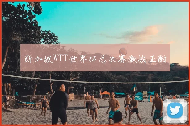 新加坡WTT世界杯总决赛激战正酣