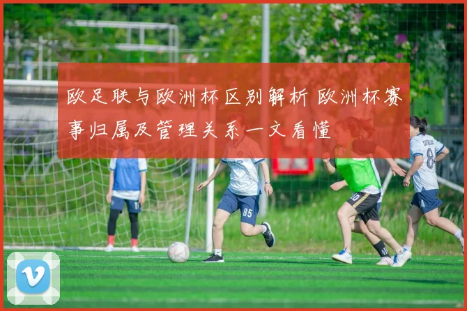 欧足联与欧洲杯区别解析 欧洲杯赛事归属及管理关系一文看懂