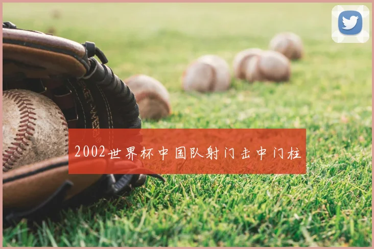 2002世界杯中国队射门击中门柱