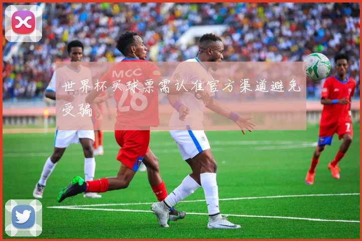 世界杯买球票需认准官方渠道避免受骗