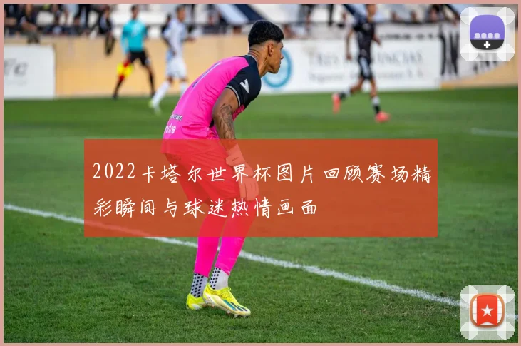2022卡塔尔世界杯图片回顾赛场精彩瞬间与球迷热情画面