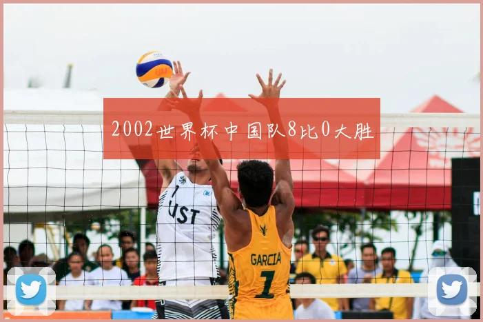 2002世界杯中国队8比0大胜