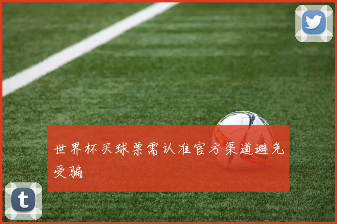世界杯买球票需认准官方渠道避免受骗