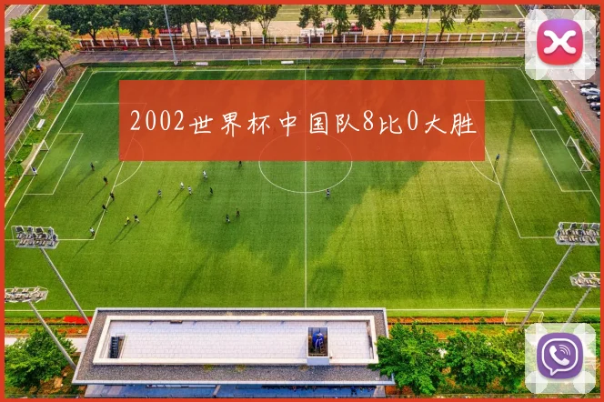 2002世界杯中国队8比0大胜
